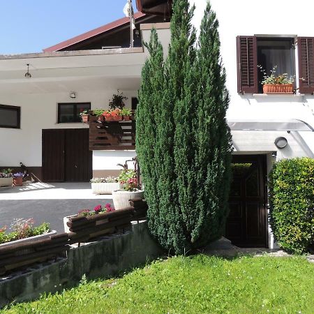 Apartment Carli-Jurc โคบาริด ภายนอก รูปภาพ
